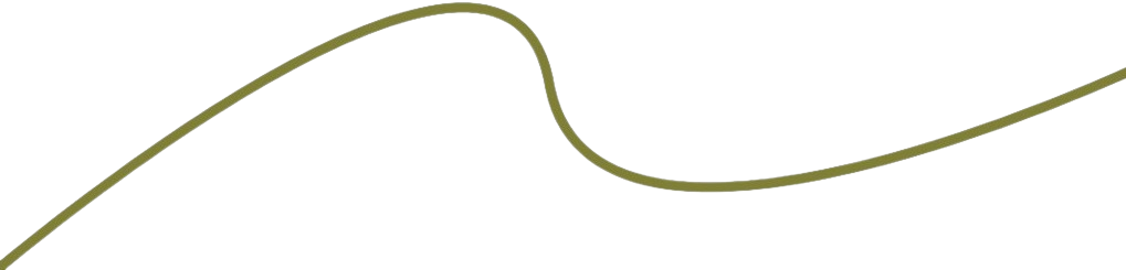 Curve Line